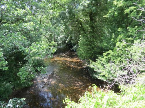 15.-Looking-downstream-from-Lyncombe-Bridge