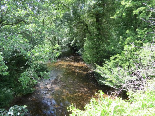 15.-Looking-downstream-from-Lyncombe-Bridge