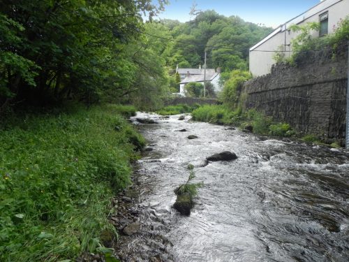 15.-Looking-upstream-from-Barbrook-Bridge