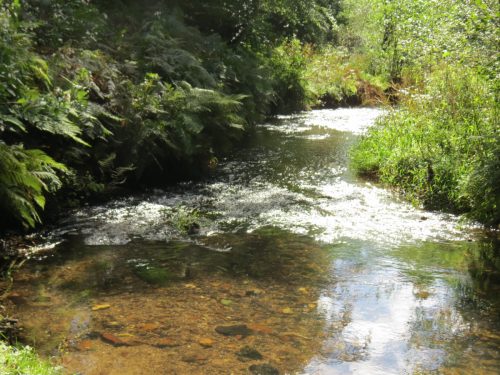 15.-Looking-upstream-from-West-Deane-Way-Footbridge-B