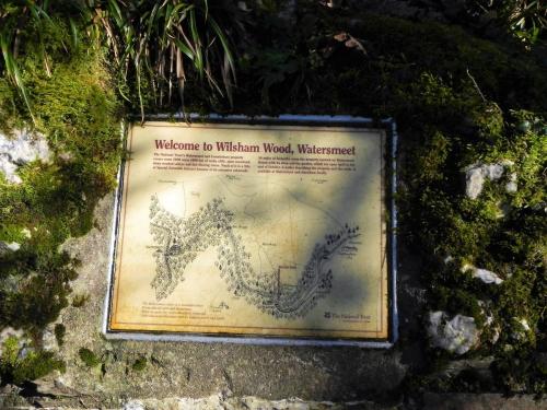 15.-National-Trust-Wilsham-Wood-Notice-at-Rockford-2