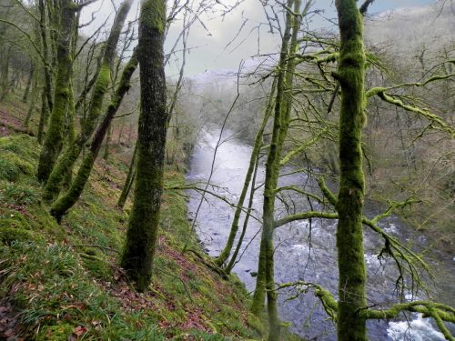 15.-Near-Draydon-Wood-2