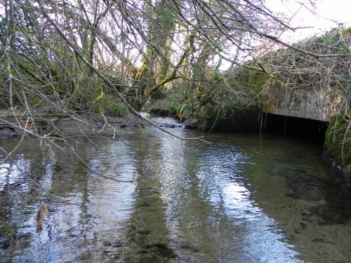 15.-Stoney-Bridge-downstream-face-2