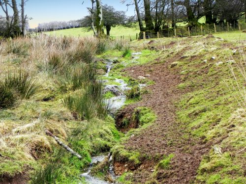 15.-Tributary-stream-flowing-from-East-side-of-Quarme-Hill-2