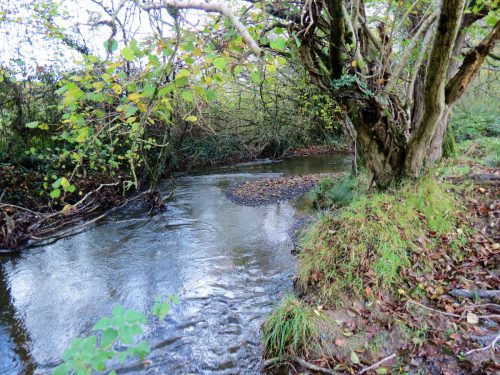 15.-Upstream-from-Brockey-Bridge-12