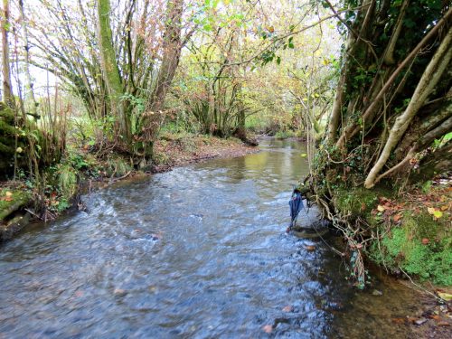 15.-Upstream-from-Brockey-Bridge-13