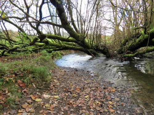 15.-Upstream-from-Brockey-Bridge-14