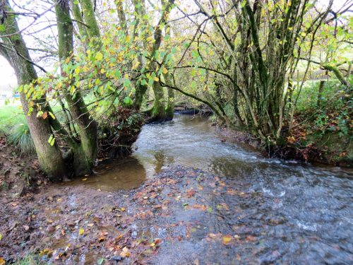 15.-Upstream-from-Brockey-Bridge-15