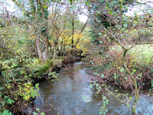 15.-Upstream-from-Brockey-Bridge-17