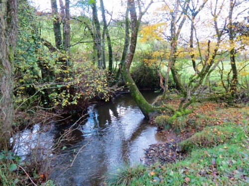 15.-Upstream-from-Brockey-Bridge-18