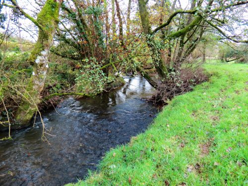 15.-Upstream-from-Brockey-Bridge-19