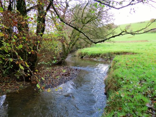 15.-Upstream-from-Brockey-Bridge-20