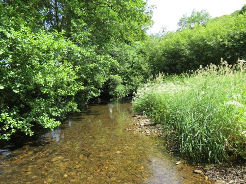 15.-Upstream-from-Edbrooke-Bridge-10