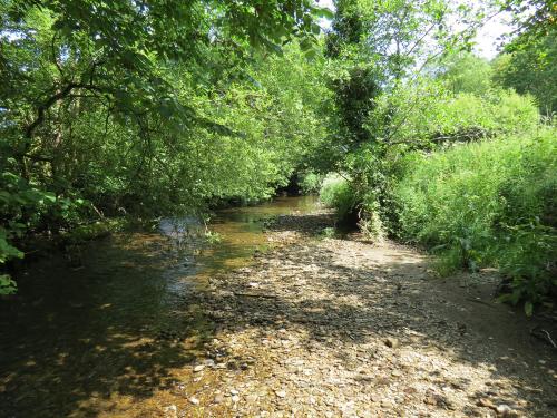 15.-Upstream-from-Edbrooke-Bridge-11