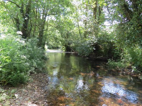 15.-Upstream-from-Edbrooke-Bridge-12