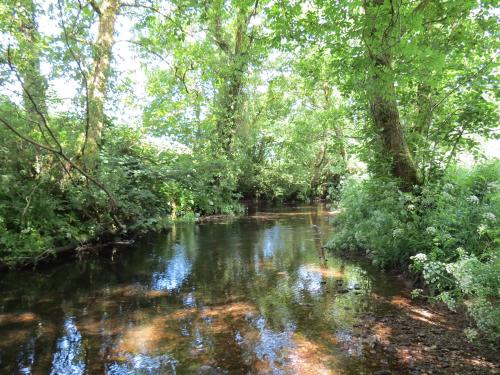 15.-Upstream-from-Edbrooke-Bridge-13