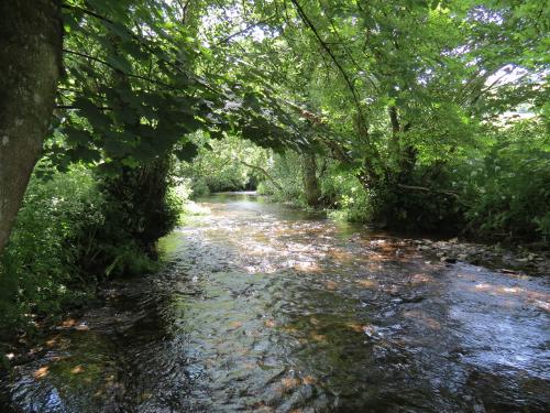 15.-Upstream-from-Edbrooke-Bridge-14