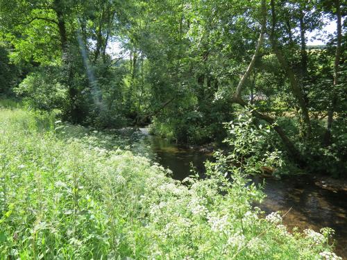 15.-Upstream-from-Edbrooke-Bridge-15