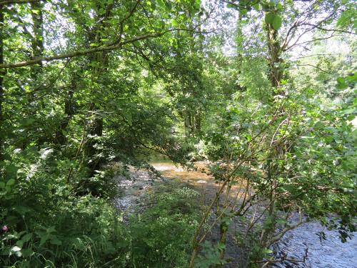 15.-Upstream-from-Edbrooke-Bridge-16