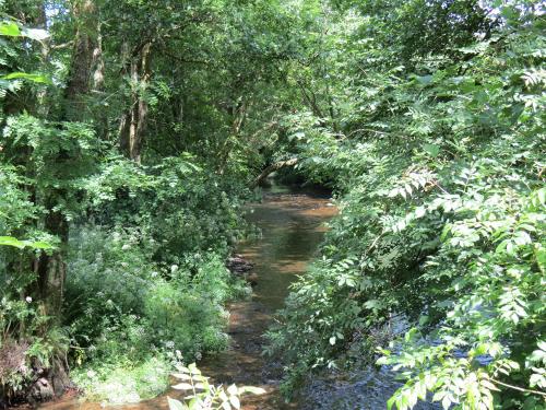 15.-Upstream-from-Edbrooke-Bridge-17