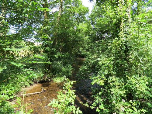 15.-Upstream-from-Edbrooke-Bridge-18
