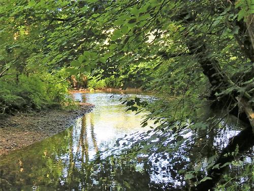 15.-Upstream-from-Edbrooke-Bridge-19