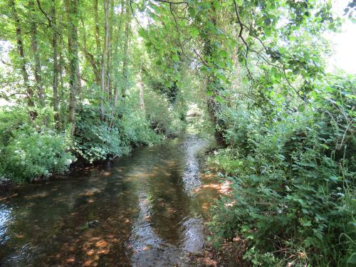 15.-Upstream-from-Edbrooke-Bridge-2