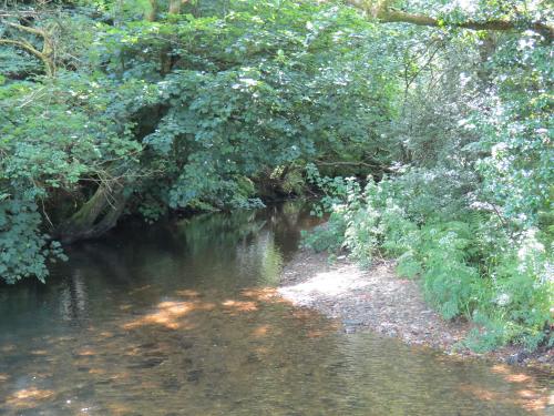 15.-Upstream-from-Edbrooke-Bridge-3