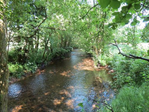 15.-Upstream-from-Edbrooke-Bridge-5