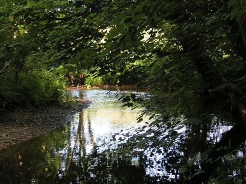 15.-Upstream-from-Edbrooke-Bridge-6