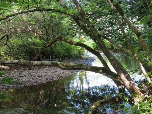 15.-Upstream-from-Edbrooke-Bridge-7