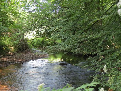 15.-Upstream-from-Edbrooke-Bridge-8