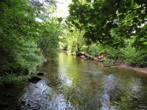 15.-Upstream-from-Edbrooke-Bridge-9