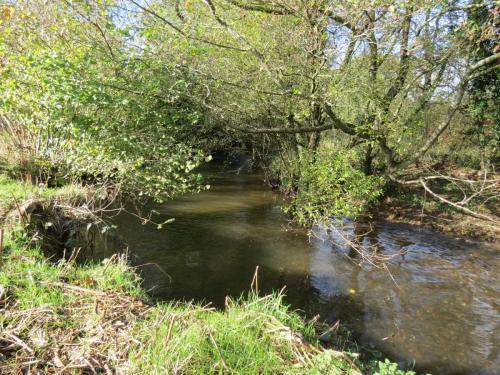 15.-Upstream-from-Kittisford-Accommodation-Bridge-1