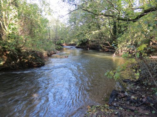 15.-Upstream-from-Kittisford-Accommodation-Bridge-2