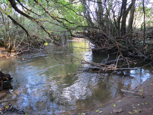 15.-Upstream-from-Kittisford-Accommodation-Bridge-3