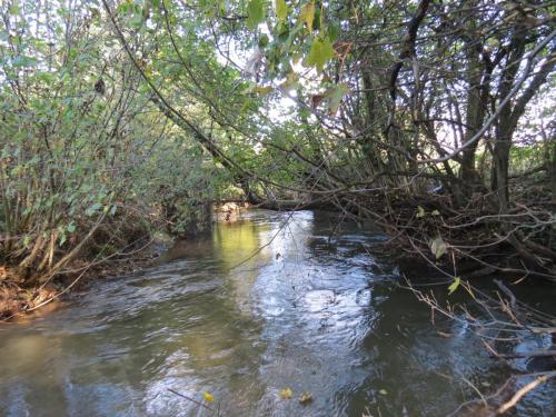 15.-Upstream-from-Kittisford-Accommodation-Bridge-4