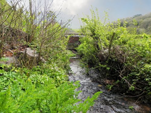 15.-Upstream-from-Knowle-Lane-Bridge-2