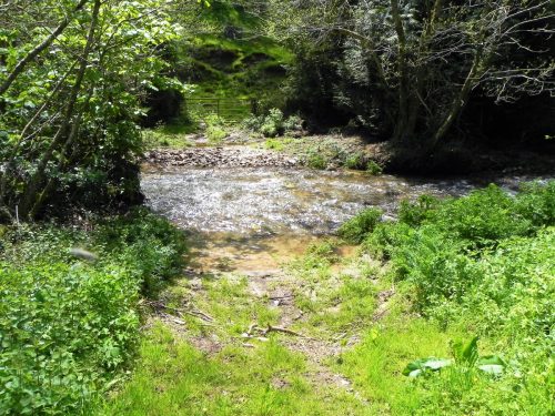 15.-Upstream-from-Langridge-Mills-Road-Bridge-2