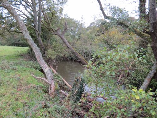 15.-Upstream-from-Tonedale-Weir-1