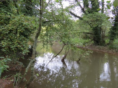 15.-Upstream-from-Tonedale-Weir-4