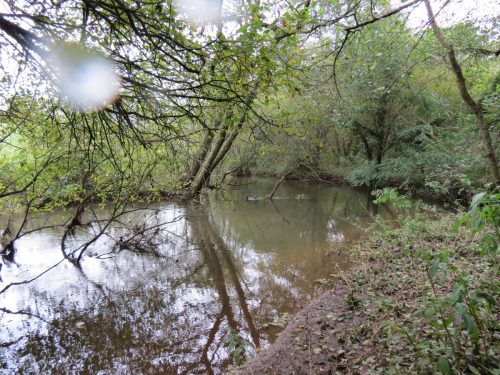 15.-Upstream-from-Tonedale-Weir-6