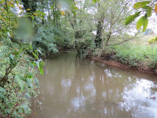 15.-Upstream-from-Tonedale-Weir-7
