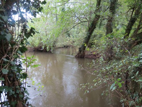 15.-Upstream-from-Tonedale-Weir-9