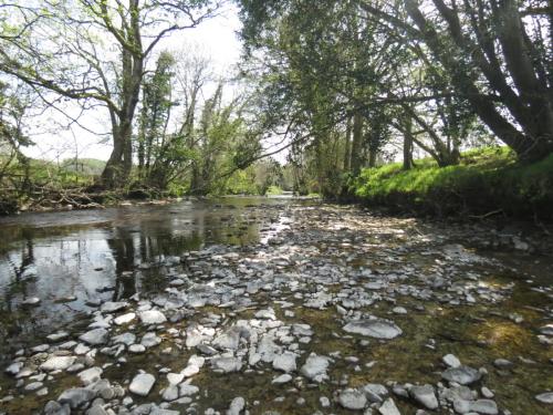 15..-Downstream-from-Perrys-Weir-May-2016-3
