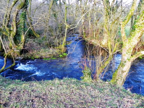 15a.-Confluence-with-River-Haddeo-2