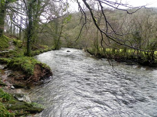 16.-Below-Pitt-Wood-2