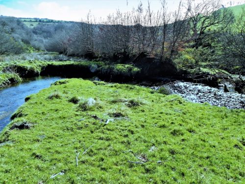 16.-Brook-splits-near-Shircombe-Farm-2