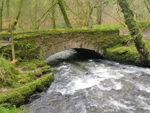 16.-Castle-Bridge-upstream-arch-2