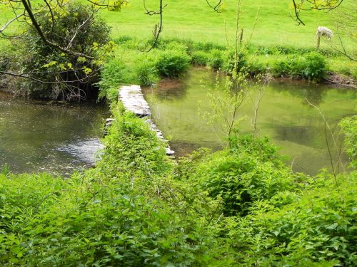 16.-Chargot-House-pond-weir-3